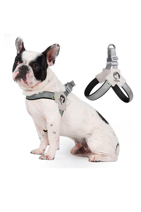 Arnes para Perro con Reflectivo y Sistema Ajustable - Imagen 2
