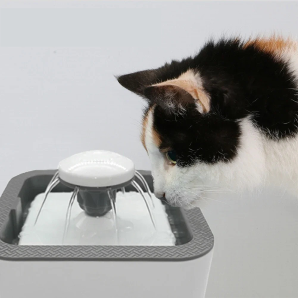 Fuente Bebedero Para Mascotas Agua Fresca Para Perro Y Gato - Imagen 6